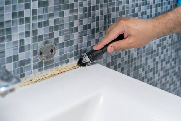 Best Insurance-Related Mold Remediation in Springdale, OH